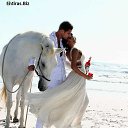 ���� Yaz Ciceyi, ���� - ��������� 18 ������� 2016 � ������ ���� ����������