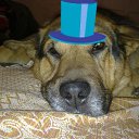 ������ �� �������� ���������� ,,�����,, �� ������� ���� ����������