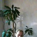 ���� ���������, ������-���, 51 ��� - ��������� 13 ������ 2017