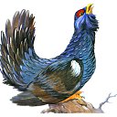 ���� �����, ������ - ��������� 28 ����� 2017 � ������ ���� ����������