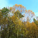 ���� �������, ��������, 47 ��� - ��������� 2 ������� 2016 � ������ ���� ����������