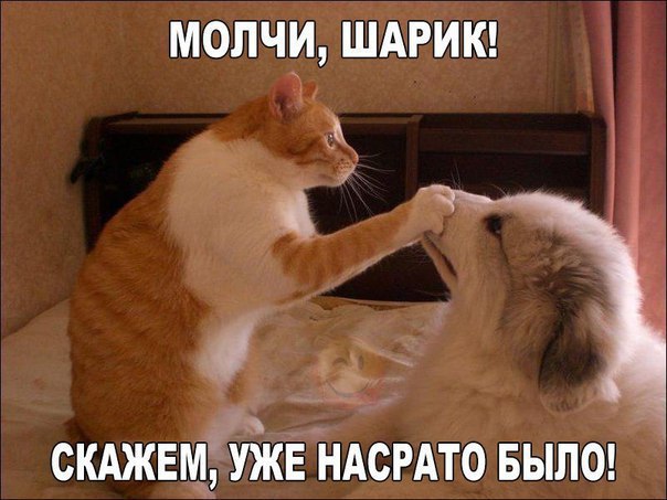    :-) - 24  2016  13:33