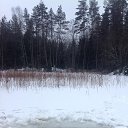 ���� ����, �����-���������, 56 ��� - ��������� 25 ������ 2017 � ������ ���� ����������