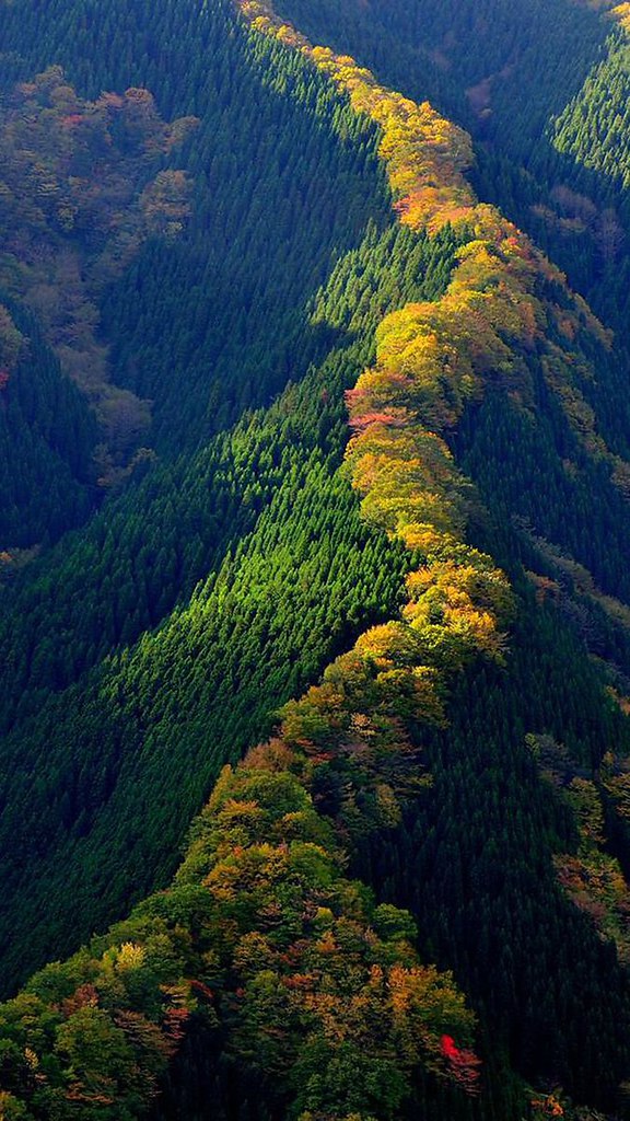   ,   .#@travel.blog