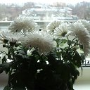  , -, 54  -  7  2016    ۻ