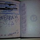 ���� ��������, ������������ - ��������� 5 ������� 2016 � ������ ���� ����������