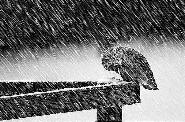 ����� �������� ����� ������� � ��� ����� ��������� ����� ����� � ������� ���������: ��������! ... - 2