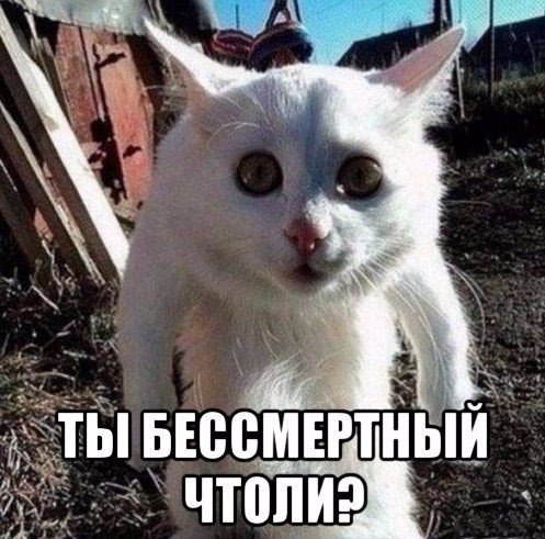 ***Victoria Viktorovna*** - 12 ������ 2016 � 14:44