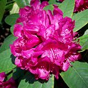 22.05.2016 �� ������� �������� ������������ ���.�