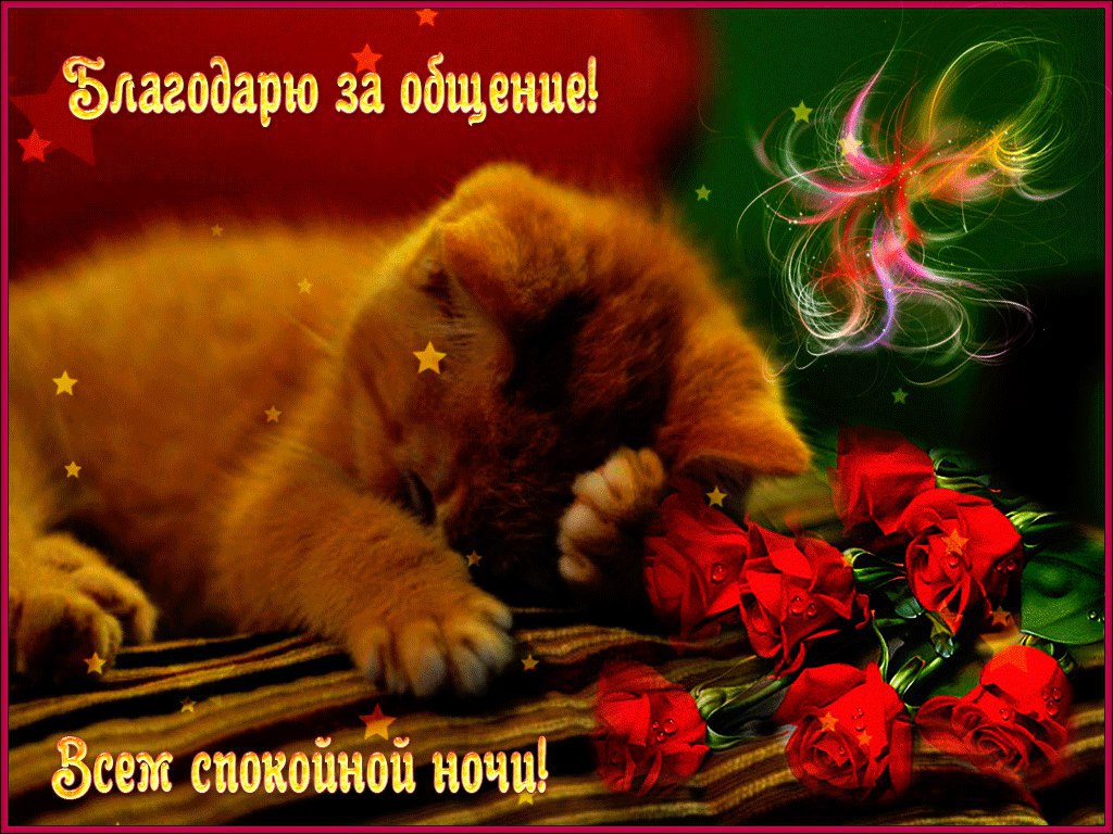 ~Dasha~ - 19  2016  23:52
