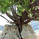 ���� ����, ������, 50 ��� - ��������� 29 �������� 2016 � ������ ������ ��������