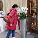 ���� ������, ������������, 66 ��� - ��������� 5 ����� 2017 � ������ ���� ���� ������