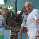  , -, 59  -  20  2016