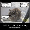 ���� Dmitry, �����-��������� - ��������� 28 ������� 2017 � ������ ������ ��������