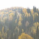 ���� ���������, ���������, 43 ���� - ��������� 16 ����� 2017 � ������ ��������