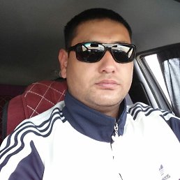 �����, ������, 40 ���