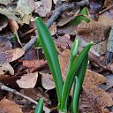  , , 60  -  26  2017   ,21.01.17. &quot;&quot;))