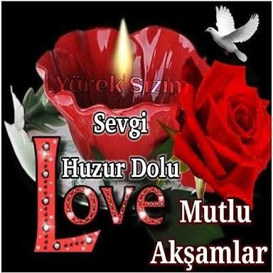  ....... - 13  2017  18:02