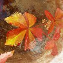 ���� �����, �����, 64 ���� - ��������� 22 ������� 2016 � ������ ������� ���������