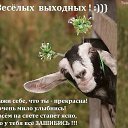 ���� ��������, ���������� - ��������� 18 �������� 2016 � ������ ������ ��������