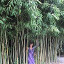  , --, 53  -  5  2016    