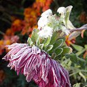 ���� �����, �����, 64 ���� - ��������� 22 ������� 2016 � ������ ������� ���������