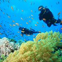 ���� ������, ������ - ��������� 23 ������� 2016 � ������ ����� ��� �������