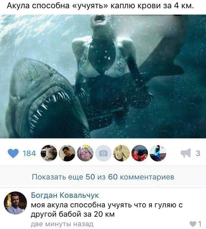 Alexandr - 17  2016  02:02