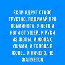 ���� �������, ����������, 52 ���� - ��������� 1 ������ 2017 � ������ ������ ��������
