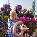 ���� Nelli, ������ - ��������� 24 ������ 2017 � ������ ������ ��������