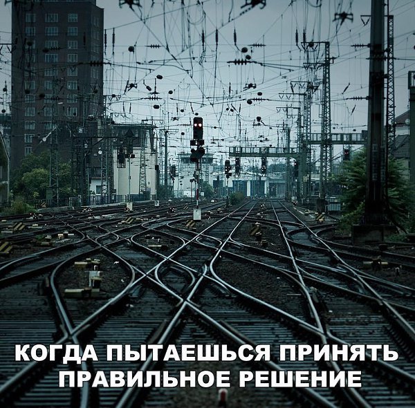 LIFE -  - 2  2017  10:29