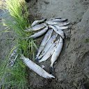 ���� ������, ������, 47 ��� - ��������� 17 �������� 2016 � ������ ���� ����������