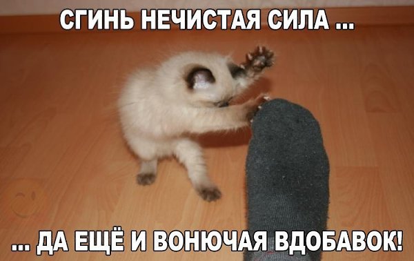    :D - 2  2017  03:04
