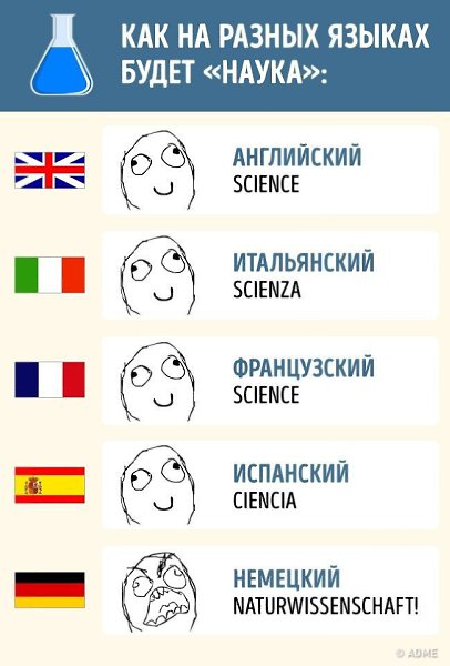 10 доказательств того, что немецкий язык не для слабаков. - 8