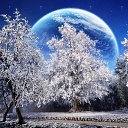 ���� ��������, �������, 41 ��� - ��������� 29 ������ 2016 � ������ ���� ����������