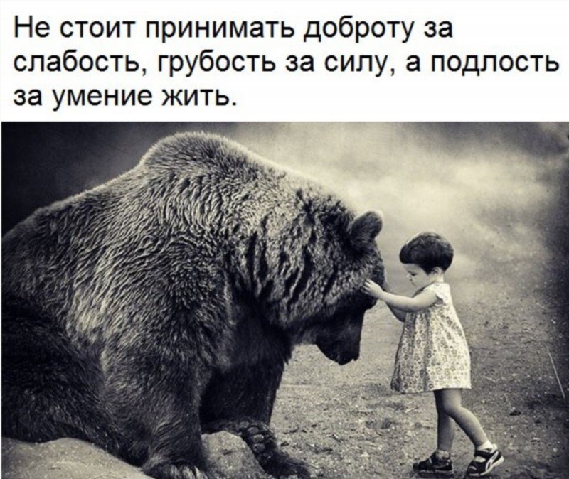 ,   ,    - 20  2017  09:29