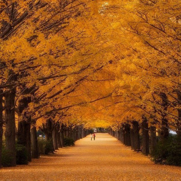 epo pc e, o oo o  po - 6