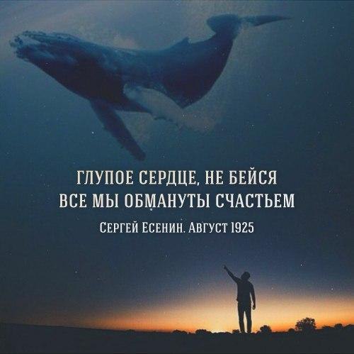     - 1  2016  13:32