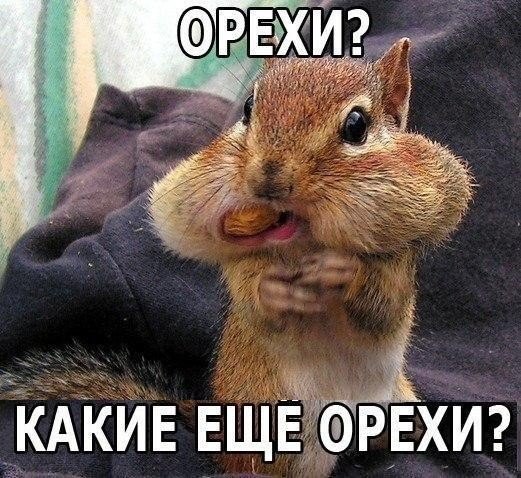  ))) - 18  2016  13:17