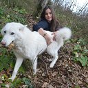 ���� ����, ���� - ��������� 17 ������� 2016 � ������ ���� ����������