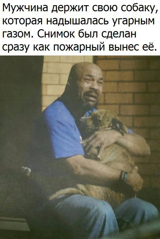 Есть мужчины с которыми хочется быть. Держись за мужчину который. Держитесь за мужчину который. Люблю мужчин которые держат своё слово. Высказывания про мужчин которые обижают женщин.