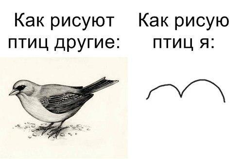 ? ,  ! - 11  2017  02:22