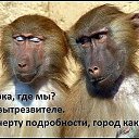 ���� ������, ������ - ��������� 5 ������� 2016 � ������ ������