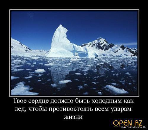   - 1  2017  01:56