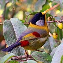  ••,  -  11  2017    