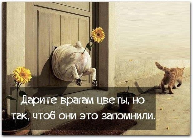    ) - 9  2017  22:38