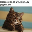 ���� ������ ������, ������, 40 ��� - ��������� 8 ������ 2016 � ������ ������ ��������