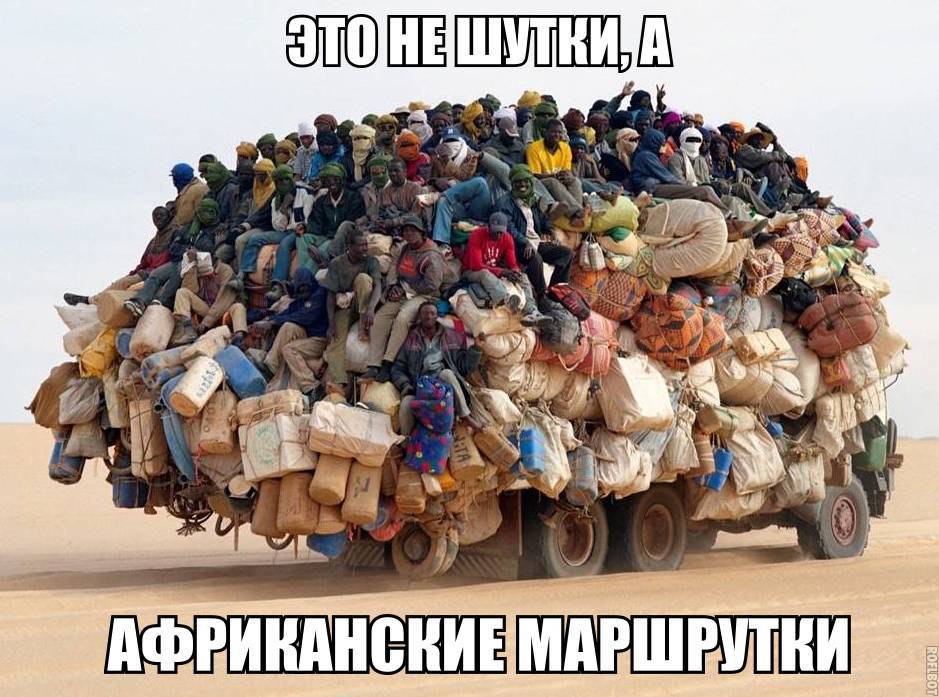   :D - 5  2017  04:07