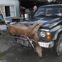  Klim, , 46  -  28  2017