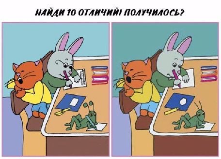    - 17  2017  19:48
